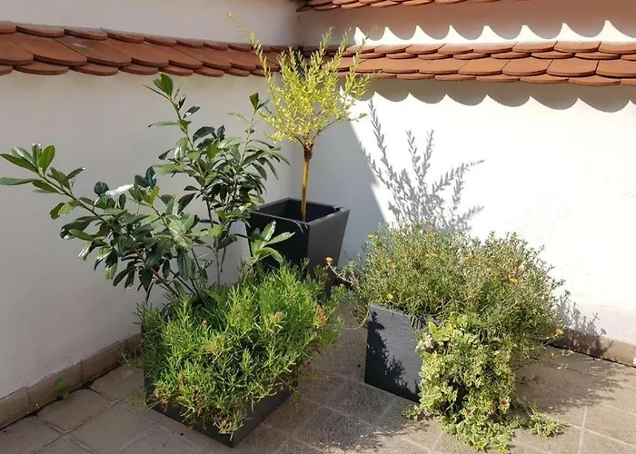 Domira Old Town With Terrace *