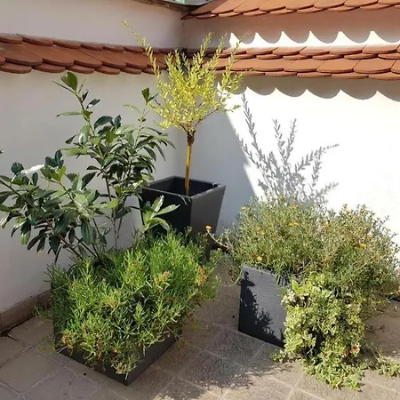 Old Town - Terrace & Parking *